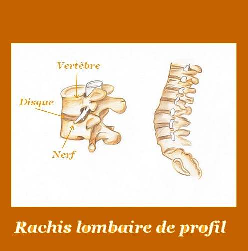 Rachis lombaire profil