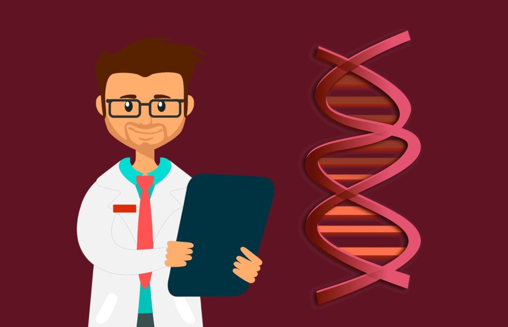 ADN, Chromosome, Chromatine